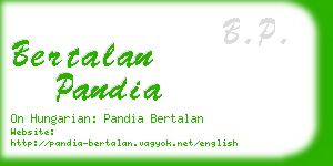 bertalan pandia business card